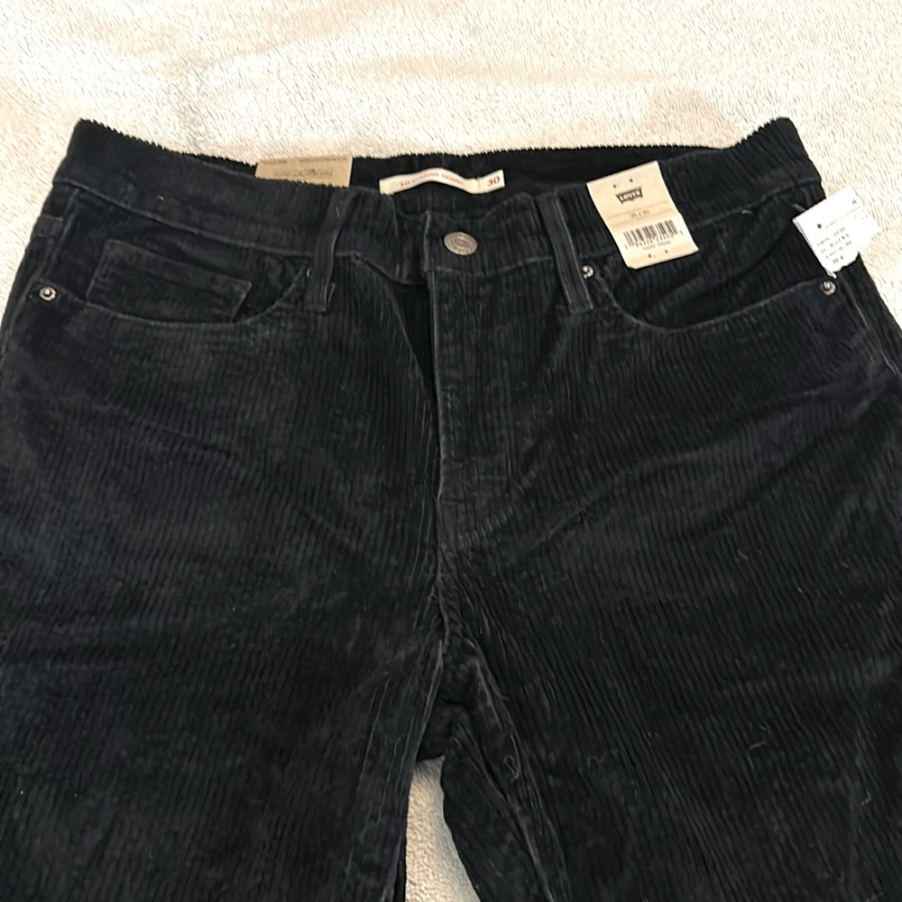 Corduroy Pants - Picture 1 of 5